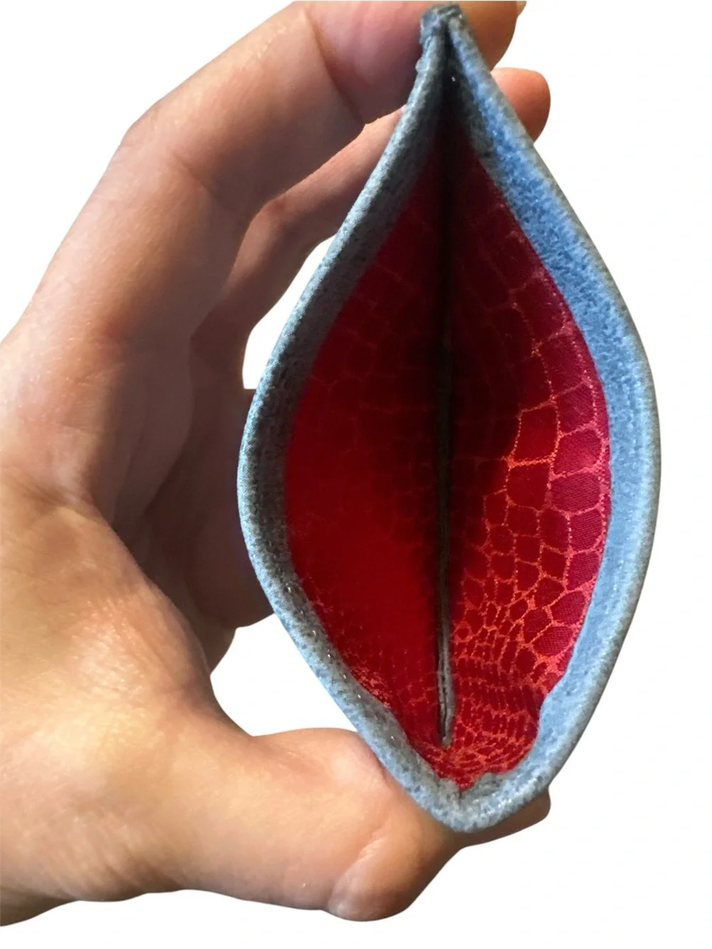 Hammitt Metro Slim Card Wallet in Blue Leather with Red Fabric Lining